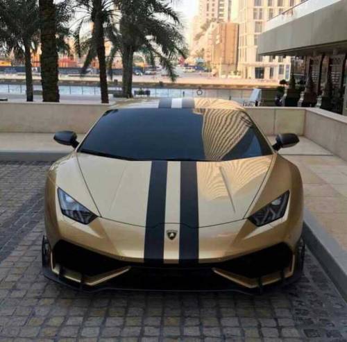 Gold lamborghini